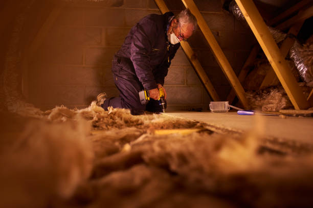 Best Eco-Friendly Insulation in Jonesboro, AR